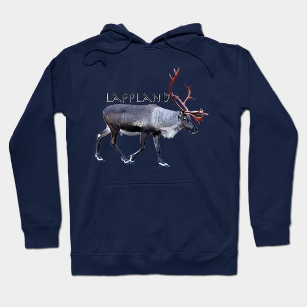 Lappland in Finland Hoodie by FotoJarmo